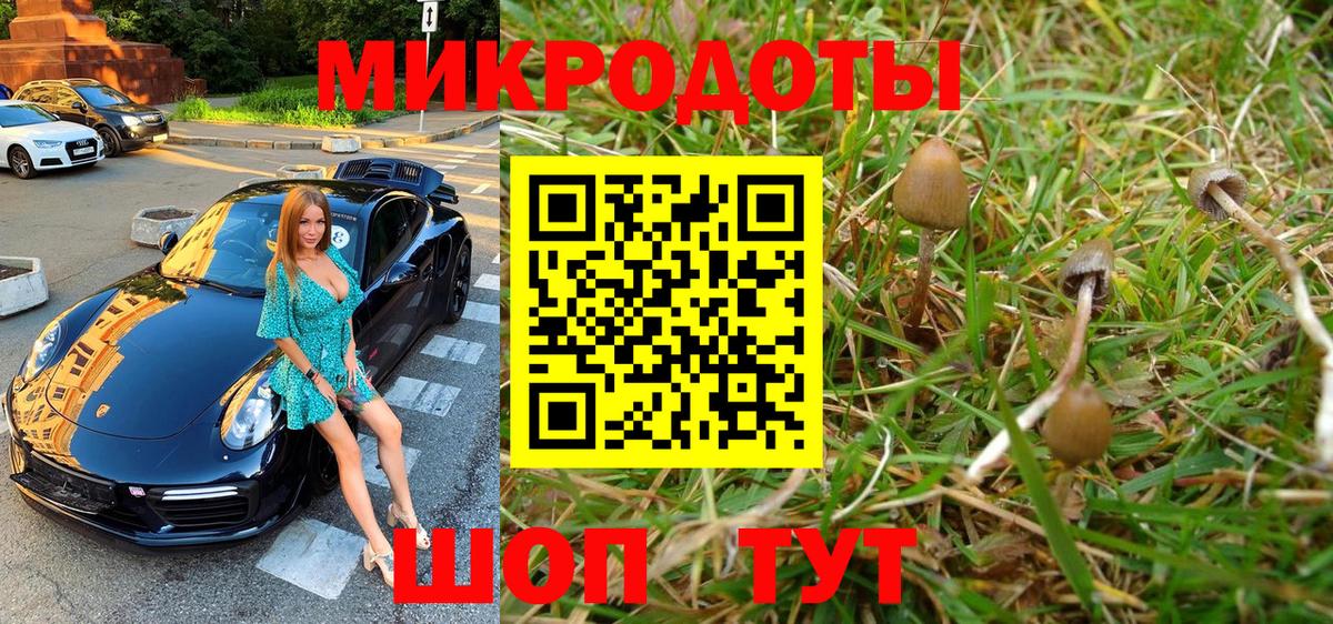 Галлюциногенные грибы MAGIC MUSHROOMS Лениногорск