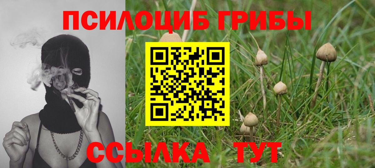 Псилоцибиновые грибы мухоморы  Галлюциногенные грибы Psilocybe  Лениногорск  что такое   Вход с VPN 